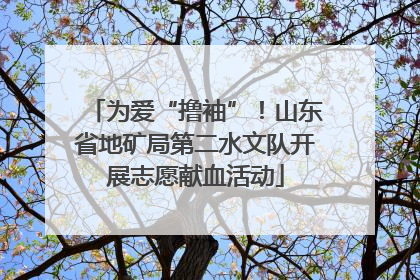 为爱“撸袖”！山东省地矿局第二水文队开展志愿献血活动