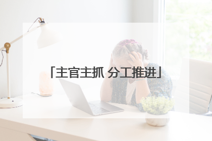 主官主抓 分工推进