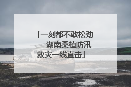 一刻都不敢松劲——湖南桑植防汛救灾一线直击