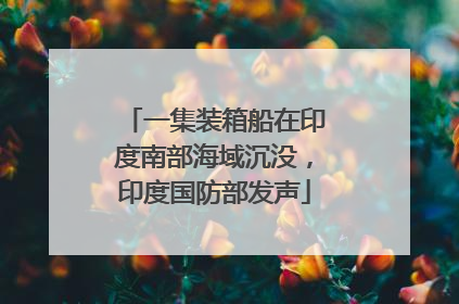 一集装箱船在印度南部海域沉没，印度国防部发声