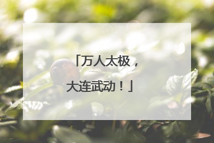 万人太极，大连武动！