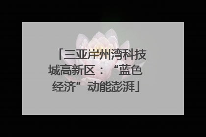 三亚崖州湾科技城高新区：“蓝色经济”动能澎湃