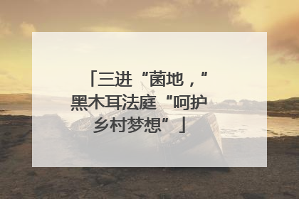 三进“菌地，”黑木耳法庭“呵护乡村梦想”