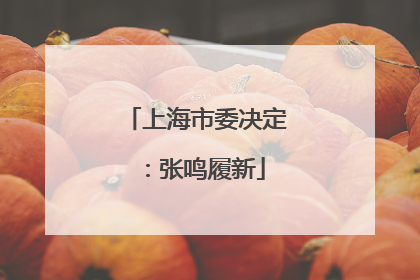 上海市委决定：张鸣履新
