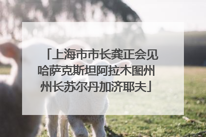 上海市市长龚正会见哈萨克斯坦阿拉木图州州长苏尔丹加济耶夫