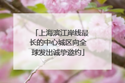 上海滨江岸线最长的中心城区向全球发出诚挚邀约