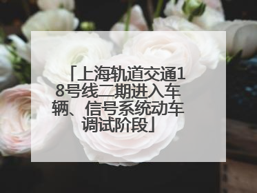上海轨道交通18号线二期进入车辆、信号系统动车调试阶段