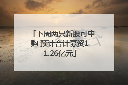 下周两只新股可申购 预计合计募资11.26亿元