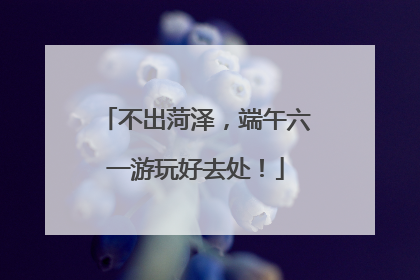 不出菏泽，端午六一游玩好去处！