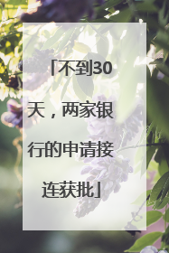 不到30天，两家银行的申请接连获批