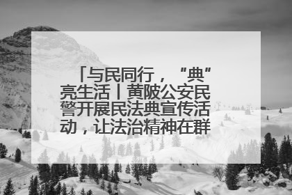 与民同行，“典”亮生活丨黄陂公安民警开展民法典宣传活动，让法治精神在群众心中落地生根