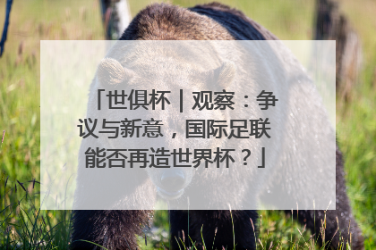 世俱杯｜观察：争议与新意，国际足联能否再造世界杯？