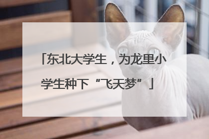 东北大学生，为龙里小学生种下“飞天梦”