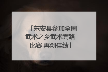 东安县参加全国武术之乡武术套路比赛 再创佳绩
