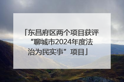 东昌府区两个项目获评“聊城市2024年度法治为民实事”项目