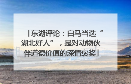 东湖评论：白马当选“湖北好人”，是对动物伙伴道德价值的深情褒奖