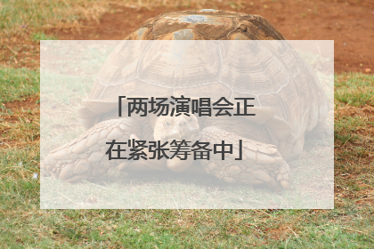 两场演唱会正在紧张筹备中