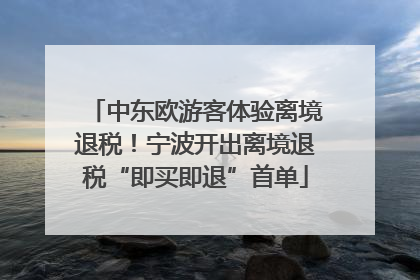 中东欧游客体验离境退税！宁波开出离境退税“即买即退”首单