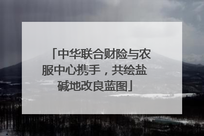 中华联合财险与农服中心携手，共绘盐碱地改良蓝图
