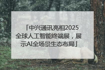中兴通讯亮相2025全球人工智能终端展，展示AI全场景生态布局