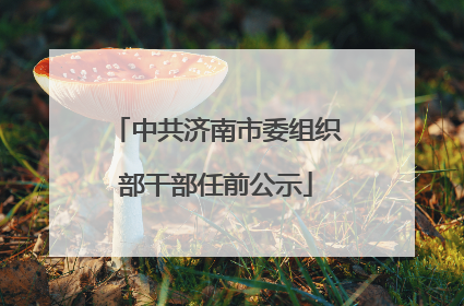 中共济南市委组织部干部任前公示