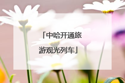 中哈开通旅游观光列车