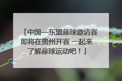 中国—东盟藤球邀请赛即将在贵州开赛 一起来了解藤球运动吧！