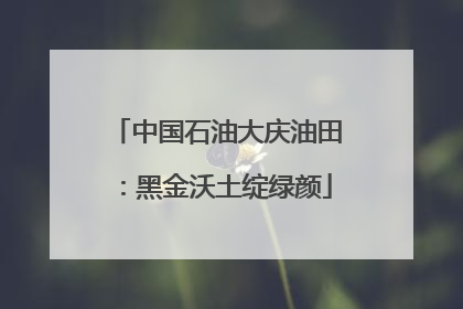 中国石油大庆油田：黑金沃土绽绿颜