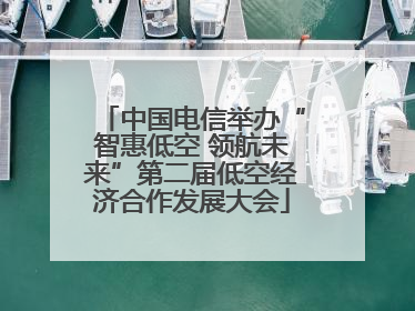 中国电信举办“智惠低空 领航未来”第二届低空经济合作发展大会