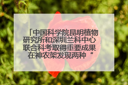 中国科学院昆明植物研究所和深圳兰科中心联合科考取得重要成果 在神农架发现两种“国保”级兰花