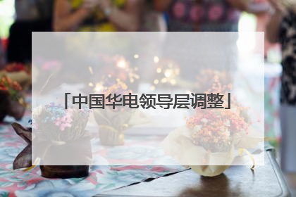 中国华电领导层调整