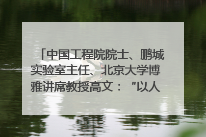 中国工程院院士、鹏城实验室主任、北京大学博雅讲席教授高文：“以人为本 智能向善” 推动文化与科技相生相促｜聚焦2025文化强国建设高峰论坛
