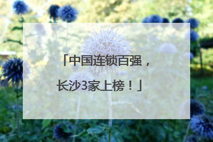 中国连锁百强，长沙3家上榜！