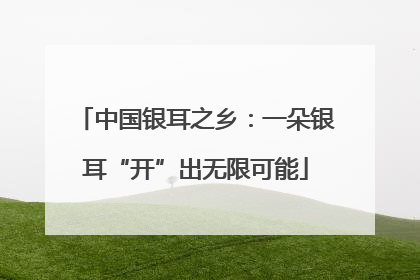 中国银耳之乡：一朵银耳“开”出无限可能
