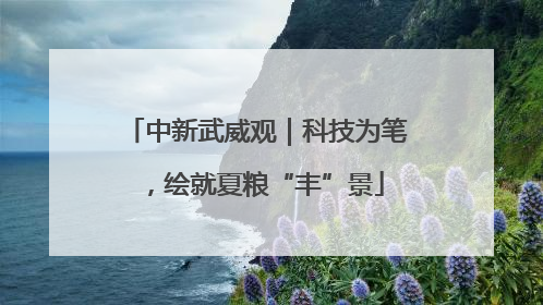 中新武威观｜科技为笔，绘就夏粮“丰”景