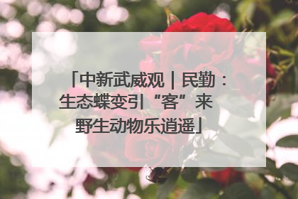 中新武威观｜民勤：生态蝶变引“客”来 野生动物乐逍遥