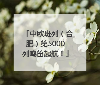 中欧班列（合肥）第5000列鸣笛起航！
