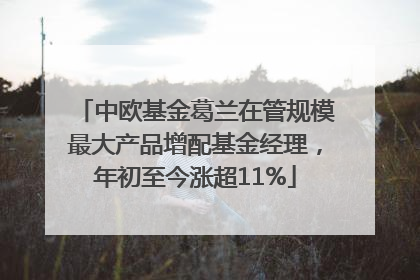 中欧基金葛兰在管规模最大产品增配基金经理，年初至今涨超11%