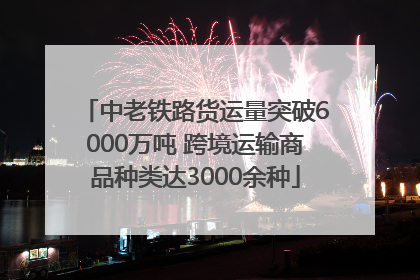 中老铁路货运量突破6000万吨 跨境运输商品种类达3000余种