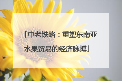中老铁路：重塑东南亚水果贸易的经济脉搏