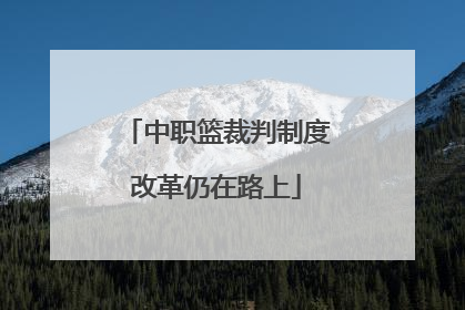 中职篮裁判制度改革仍在路上