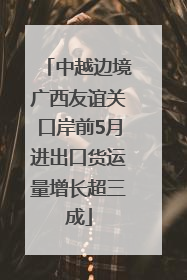 中越边境广西友谊关口岸前5月进出口货运量增长超三成