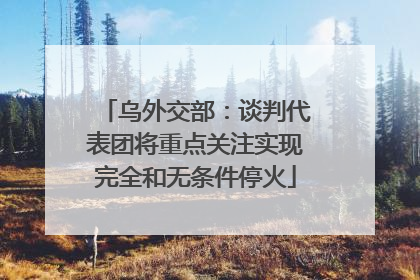 乌外交部：谈判代表团将重点关注实现完全和无条件停火