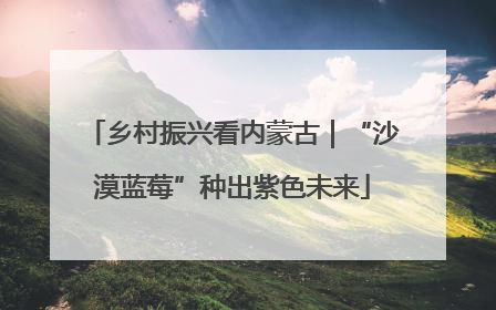 乡村振兴看内蒙古｜“沙漠蓝莓”种出紫色未来