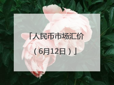 人民币市场汇价（6月12日）