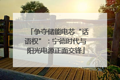 争夺储能电芯“话语权”：宁德时代与阳光电源正面交锋