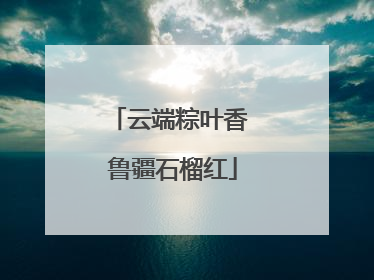 云端粽叶香 鲁疆石榴红