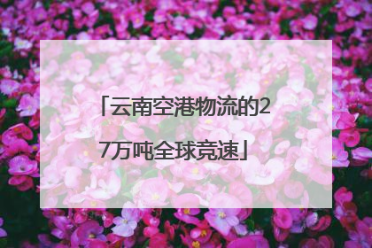 云南空港物流的27万吨全球竞速