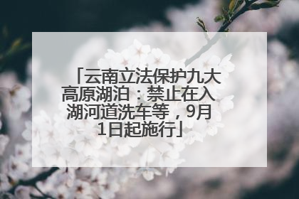 云南立法保护九大高原湖泊：禁止在入湖河道洗车等，9月1日起施行