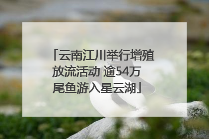 云南江川举行增殖放流活动 逾54万尾鱼游入星云湖
